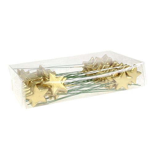 Floristik24 Sterren op draad voor knutselen goud 5cm L23cm 48 st