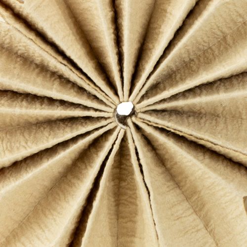 Artikel Papieren sterren, natuurlijke kleuren, Ø10cm, 6 stuks