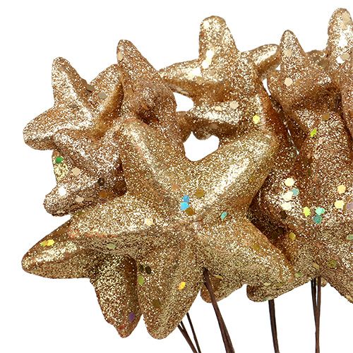 Floristik24 Sterren gebundeld met glitter goud 60cm 5st