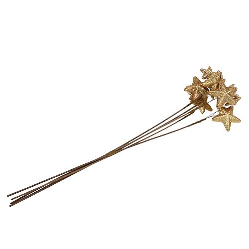 Floristik24 Sterren gebundeld met glitter goud 60cm 5st
