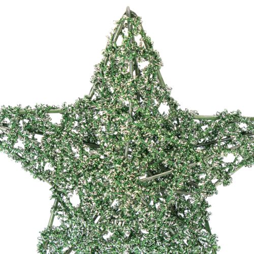 Decoratieve groene draadsterrenset, twee maten, 10 cm, 12 stuks | Floristik24.nl