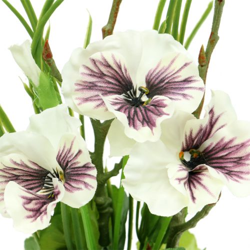 Floristik24 Viooltje met mosbol wit 31cm