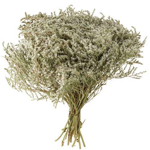Artikel Lamsoor Statice Tatarica gedroogde bloemen natuurlijk 2kg