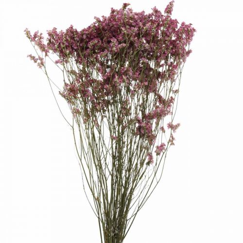 Statice, Zee Lavendel, Gedroogde Bloem, Wildflower Bos Roze L52cm 23g