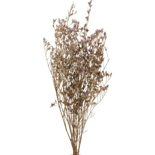 Floristik24 Strand Lila Limonium Gedroogde Bloemen Paars 70cm 50g