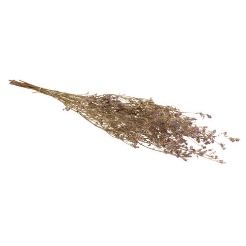 Artikel Strand Lila Limonium Gedroogde Bloemen Paars 70cm 50g