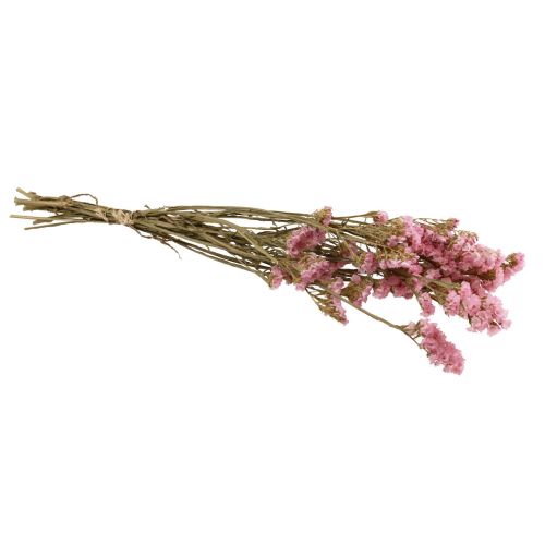 Floristik24 Strand Lila Roze Limonium Gedroogde Bloemen 60cm 50g