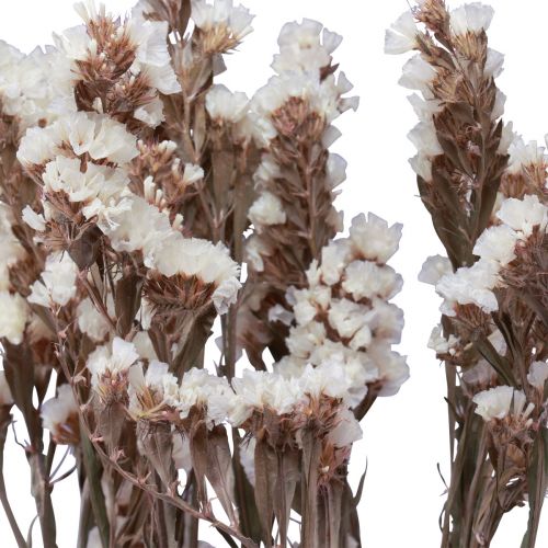 Floristik24 Strand Lila Witte Limonium Gedroogde Bloemen 60cm 35g
