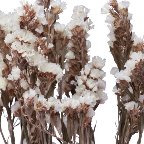 Artikel Strand Lila Witte Limonium Gedroogde Bloemen 60cm 35g