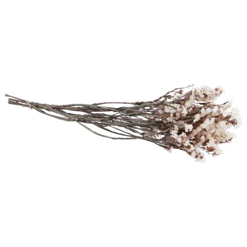 Floristik24 Strand Lila Witte Limonium Gedroogde Bloemen 60cm 35g