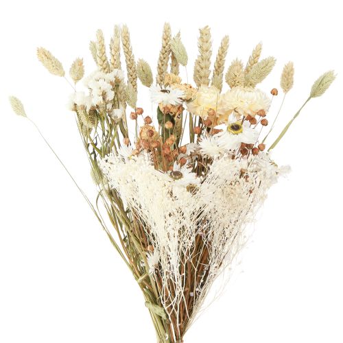 Artikel Boeket droogbloemen strobloemen korrel wit 55cm
