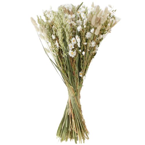 Floristik24 Boeket droogbloemen witte strobloemen haver Lagurus 55cm