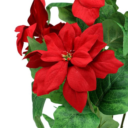 Artikel Boeket Kerstster Rood L47cm
