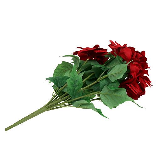 Artikel Boeket Kerstster Rood L47cm