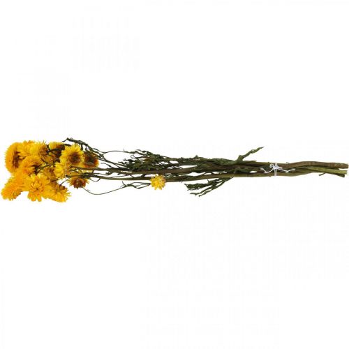 Floristik24 Gedroogde Bloem Gele Strobloem Helichrysum Droge Decoratie Bos 50cm 45g
