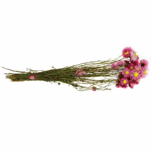 Floristik24 Strobloem in een bos Roze droogbloemen 25g