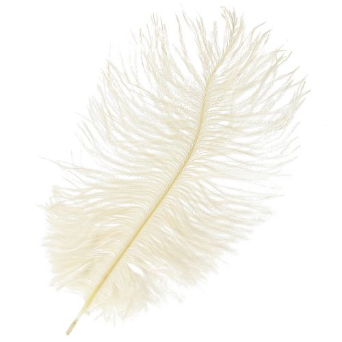 Artikel Prachtige crèmewitte decoratieve veer struisvogelveren wit 20-25cm 12 stuks.
