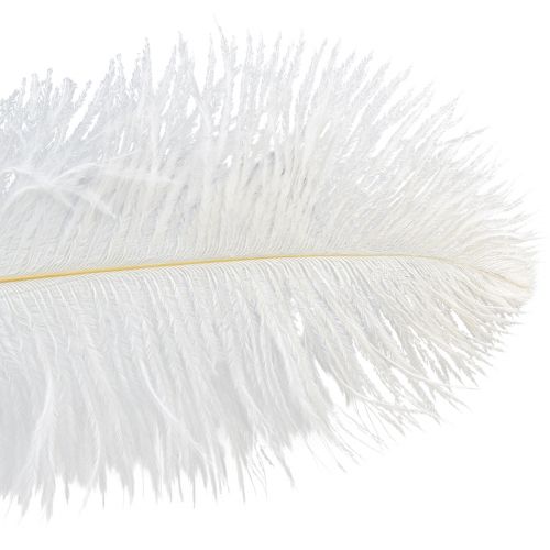 Artikel Struisvogelveren Exotische Decoratie Witte Veren 32-35cm 4st