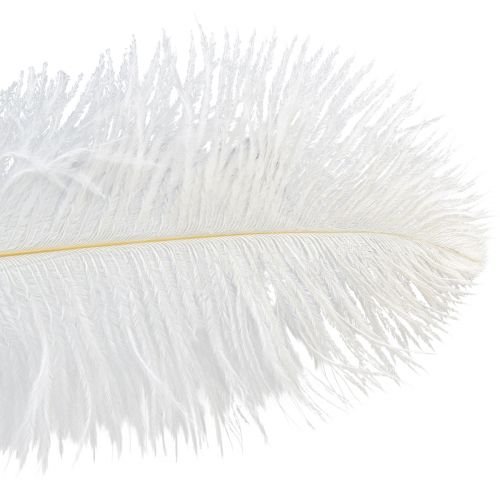 Artikel Struisvogelveren Exotische Decoratie Witte Veren 32-35cm 4 st