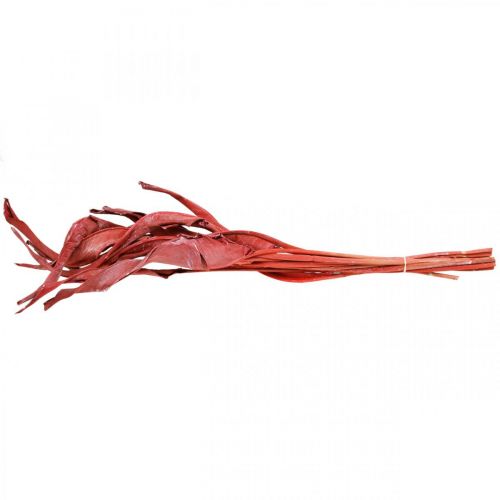 Floristik24 Strelitzia bladeren rood mat droogbloemisterij 45-80cm 10 stuks