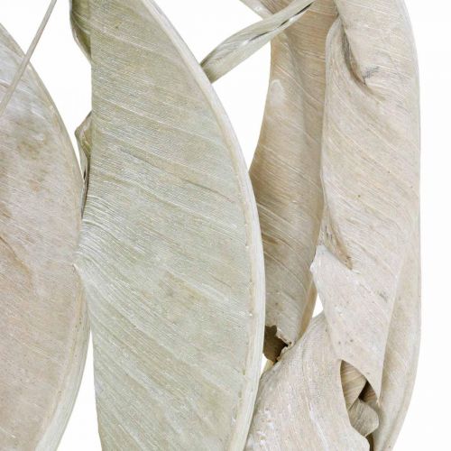 Artikel Strelitzia bladeren gewassen wit gedroogd 45-80cm 10p