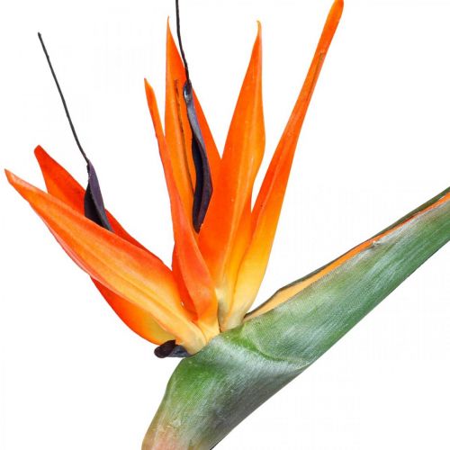 Floristik24 Strelizie reginae kunstbloem oranje paradijsvogel L85cm