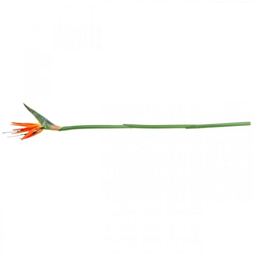 Floristik24 Strelizie reginae kunstbloem oranje paradijsvogel L85cm