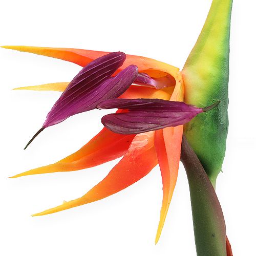 Artikel Strelitzia paradijsvogel bloem 62cm