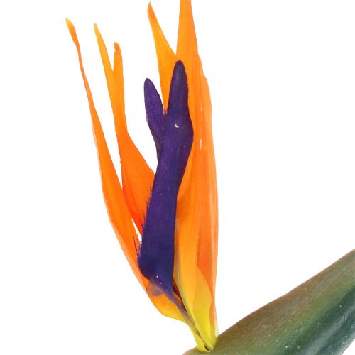 Floristik24 Strelitzia Bird of Paradise Kunstmatig 98cm