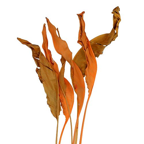 Floristik24 Strelitzia bladeren oranje 120cm 20 stuks