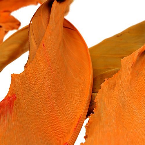 Floristik24 Strelitzia bladeren oranje 120cm 20 stuks