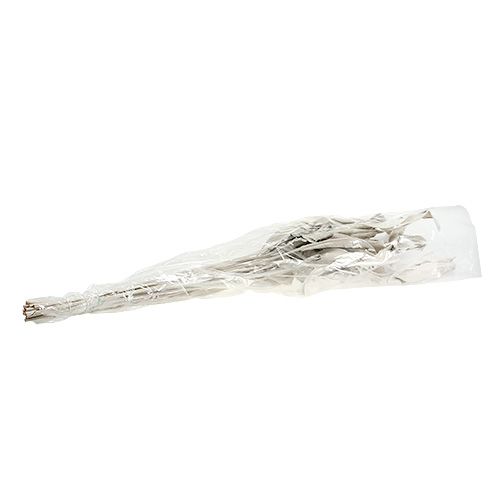 Floristik24 Decoratieve bladeren Strelitzia bladeren white washed 120cm 10 st