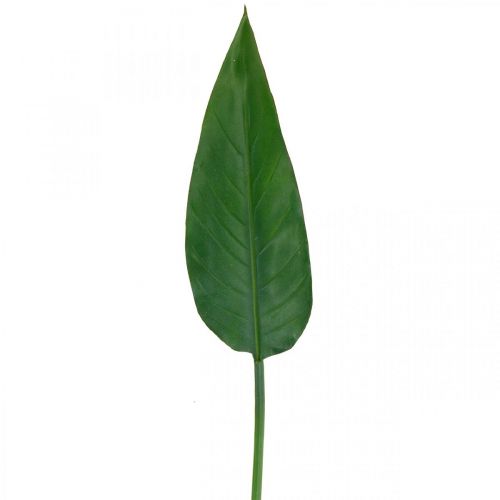 Floristik24 Strelitzia Papegaaibloem Decoratief Blad Strelitzia Blad Groen L81cm