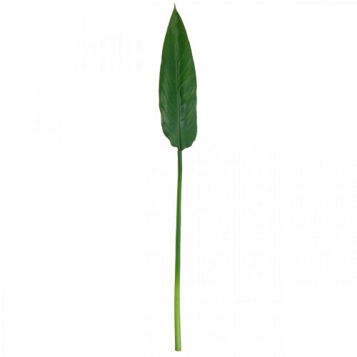 Floristik24 Strelitzia Papegaaibloem Decoratief Blad Strelitzia Blad Groen L81cm