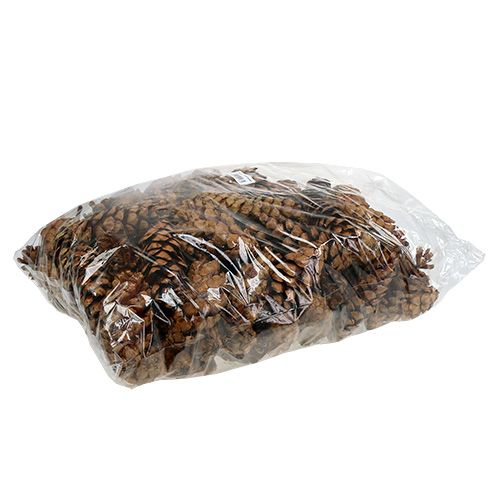 Artikel Strobus kegels 10-15cm geschilderd 100 stuks