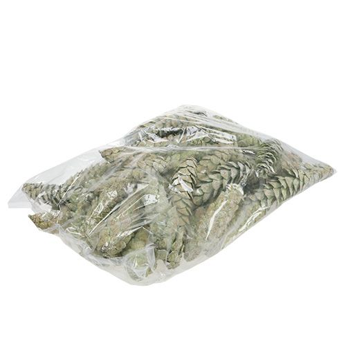Artikel Strobus kegels als natuurlijke decoratie 15cm - 20cm groen 50 st