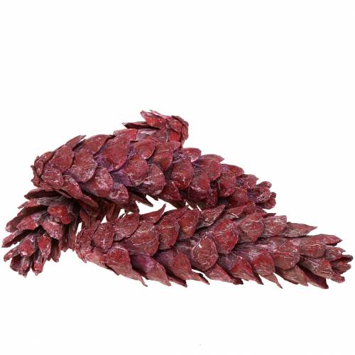Artikel Strobus kegels naturel decoratie rood 15cm - 20cm 50 st