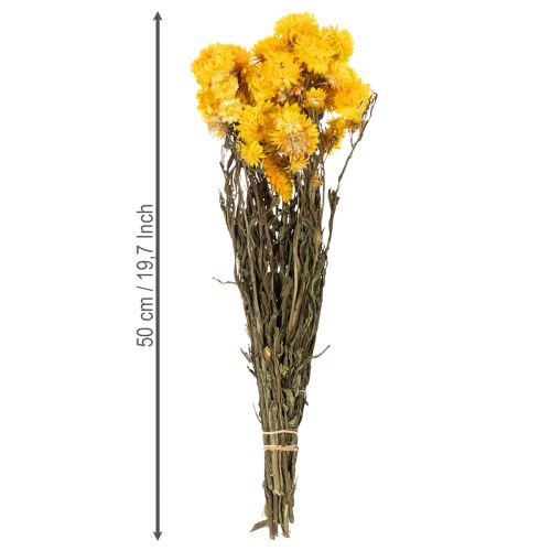 Artikel Gedroogde gele strobloem (Helichrysum), bosje gedroogde bloemen, 100 g