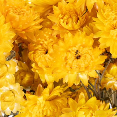Artikel Gedroogde gele strobloem (Helichrysum), bosje gedroogde bloemen, 100 g
