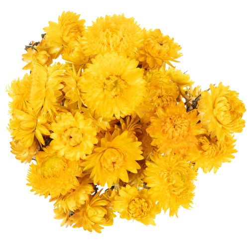 Artikel Gedroogde gele strobloem (Helichrysum), bosje gedroogde bloemen, 100 g