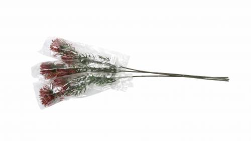 Floristik24 Xanthium tak Bordeaux 69cm 3st