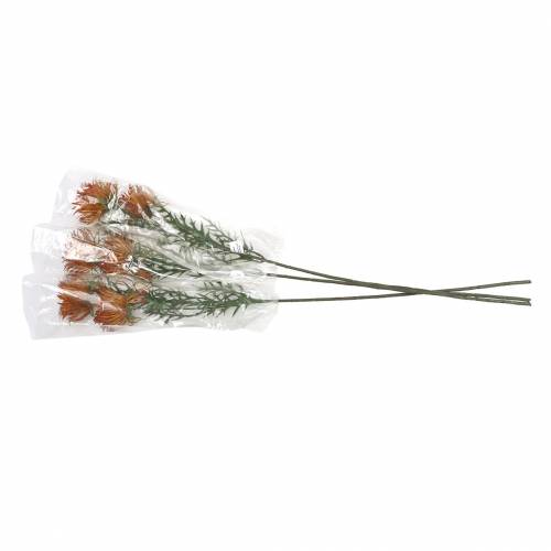 Floristik24 Xanthiumtak oranje 69cm 3st