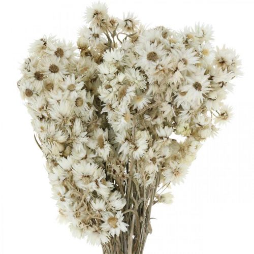 Strobloemen Droogbloemen Boeket Wit Klein 15g