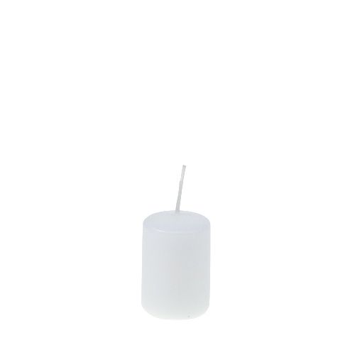 Floristik24 Stompkaarsen wit Adventskaarsen kleine kaarsen 60/40mm 24st