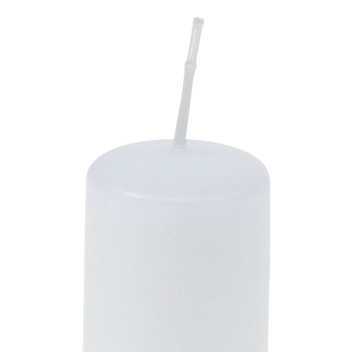 Floristik24 Stompkaarsen wit Adventskaarsen kleine kaarsen 60/40mm 24 st