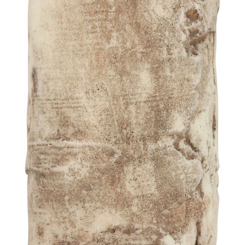 Floristik24 Stoerkaars boomschorskaars berkendecor crème 140/80mm