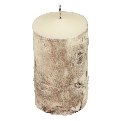 Floristik24 Stoerkaars boomschorskaars berkendecor crème 140/80mm