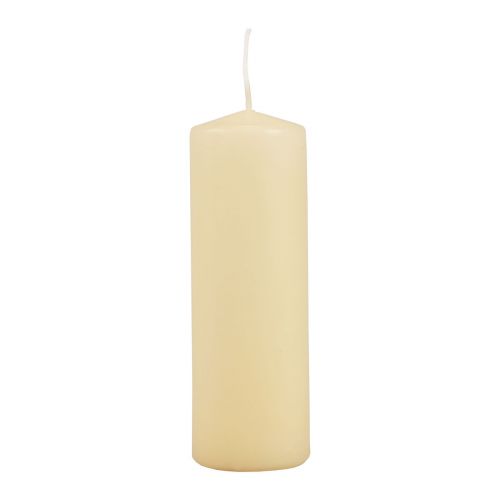 Stoerkaarsen crème Adventkaarsen crème 150/50mm 24st