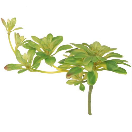 Artikel Succulente kunstplant met steker Aeonium Groen 30cm 4 st.