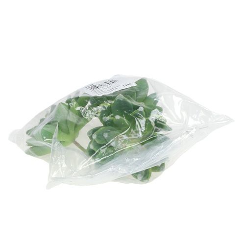 Artikel Vetplant steen roze groen Ø10cm H11cm 3 st